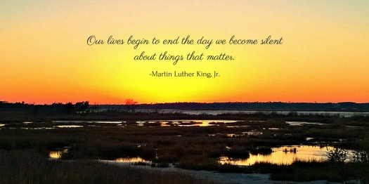 Our lives begin to end the day we become silent about things that matter. -Martin Luther King, Jr.